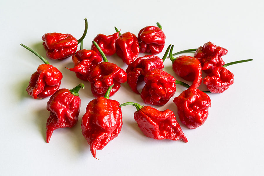 Experience The Carolina Reaper Pepper at Least Once in your Lifetime and Here’s Why